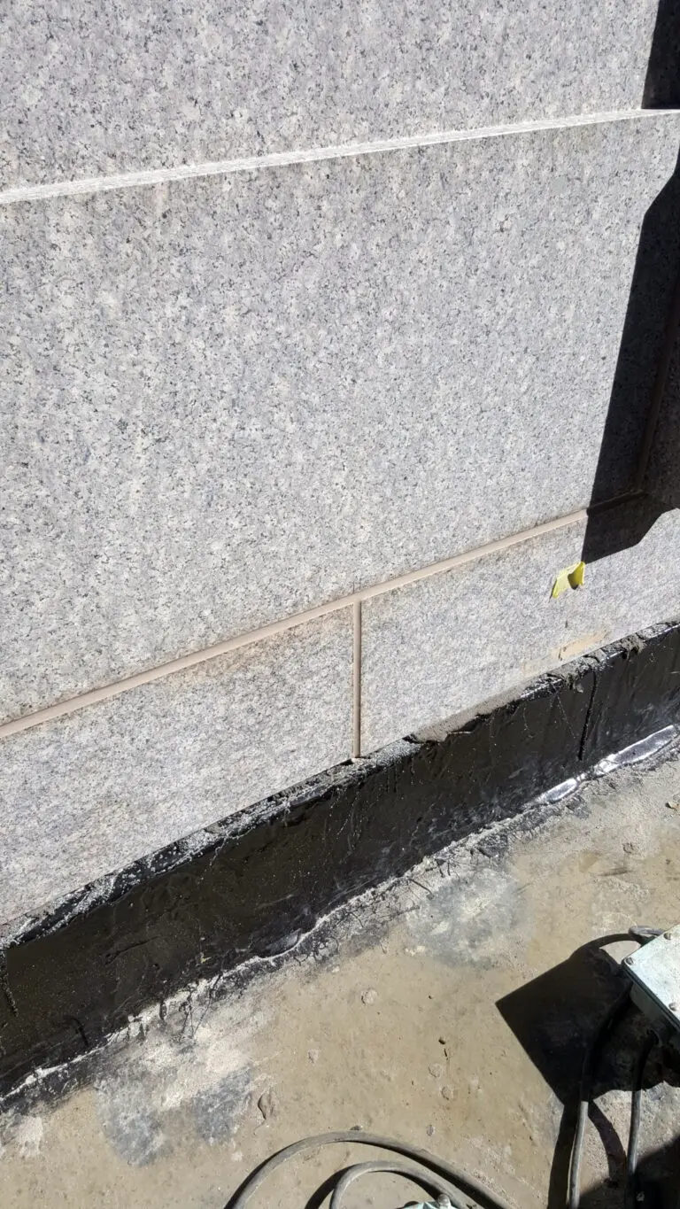 1000017081 1000017081