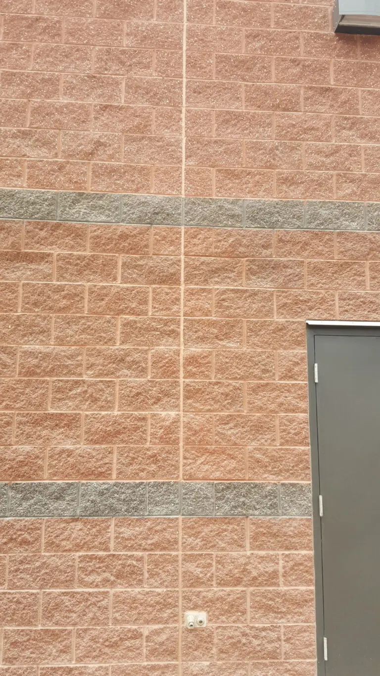 1000017089 1000017089